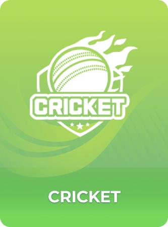 YAYWIN Cricket game banner